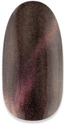 NiiZA Gel Polish 4ml - 185 Cat Eye - gellakk