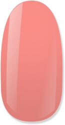 NiiZA Gel Polish 4ml - 214 - gellakk