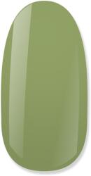 NiiZA Gel Polish 4ml - 199 - gellakk