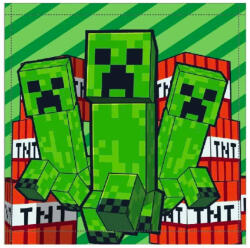 Mojang Minecraft kéztörlő, arctörlő, törölköző 30x30 cm Nr 01