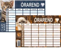 T-Creativ Órarend 117x165 cm 25 db/csomag T-Creativ Cats (N13052TCA)