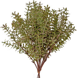 Valex Decor Édesgyökér köteg, 12 szálas, 26cm magas (AF069-01)