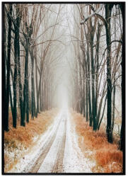AdTrend Tablou decorativ olegrafie pe panza Forest 50 x 70 cm (107461B)