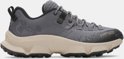 Under Armour Мъжки обувки Under Armour UA Charged Expanse Low WP Under Armour | Siv | МЪЖЕ | 47