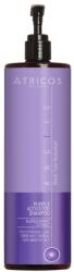  Șampon pentru Păr Blond și Alb cu Extract de Coacăze Negre Articos Purple Activator Shampoo, 1000 ml
