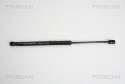 TRISCAN Amortizor portbagaj TRISCAN 8710 10207 (8710 10207) - fixbox