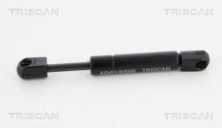 TRISCAN Amortizor portbagaj TRISCAN 8710 25262 (8710 25262) - fixbox