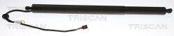 TRISCAN Amortizor portbagaj TRISCAN 8710 43302 (8710 43302) - fixbox