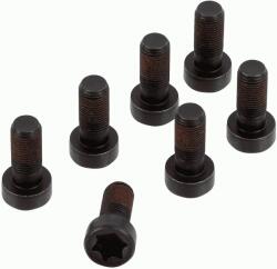 SACHS Set surub, volanta SACHS 1874 000 083 (1874 000 083) - fixbox