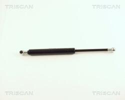 TRISCAN Amortizor portbagaj TRISCAN 8710 29237 (8710 29237) - fixbox