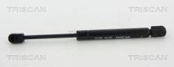 TRISCAN Amortizor portbagaj TRISCAN 8710 67206 (8710 67206) - fixbox