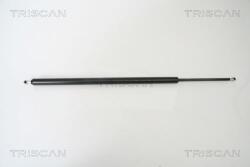 TRISCAN Amortizor portbagaj TRISCAN 8710 25230 (8710 25230) - fixbox