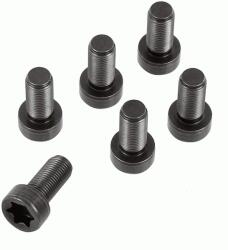 SACHS Set surub, volanta SACHS 1874 000 082 (1874 000 082) - fixbox