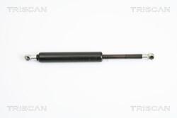 TRISCAN Amortizor portbagaj TRISCAN 8710 12211 (8710 12211) - fixbox