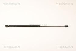 TRISCAN Amortizor portbagaj TRISCAN 8710 25250 (8710 25250) - fixbox