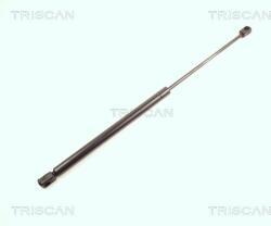TRISCAN Amortizor portbagaj TRISCAN 8710 16230 (8710 16230) - fixbox
