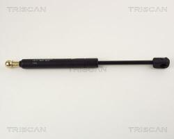 TRISCAN Amortizor portbagaj TRISCAN 8710 29219 (8710 29219) - fixbox