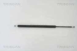 TRISCAN Amortizor portbagaj TRISCAN 8710 16242 (8710 16242) - fixbox