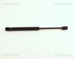 TRISCAN Amortizor portbagaj TRISCAN 8710 29248 (8710 29248) - fixbox
