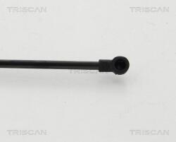 TRISCAN Amortizor portbagaj TRISCAN 8710 24254 (8710 24254) - fixbox