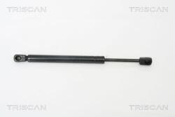 TRISCAN Amortizor portbagaj TRISCAN 8710 29259 (8710 29259) - fixbox