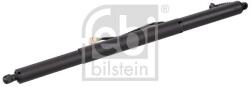 Febi Bilstein Amortizor portbagaj FEBI BILSTEIN 179318 (179318) - fixbox