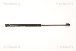 TRISCAN Amortizor portbagaj TRISCAN 8710 66204 (8710 66204) - fixbox