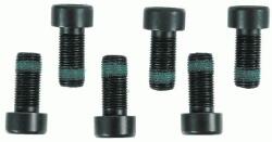 SACHS Set surub, volanta SACHS 1874 000 003 (1874 000 003)