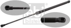 Febi Bilstein Amortizor portbagaj FEBI BILSTEIN 31650 (31650) - fixbox