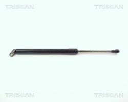 TRISCAN Amortizor portbagaj TRISCAN 8710 11209 (8710 11209) - fixbox