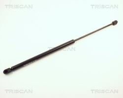 TRISCAN Amortizor portbagaj TRISCAN 8710 2411 (8710 2411) - fixbox