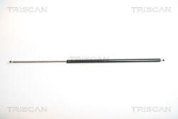 TRISCAN Amortizor portbagaj TRISCAN 8710 25227 (8710 25227) - fixbox