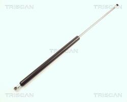 TRISCAN Amortizor portbagaj TRISCAN 8710 25223 (8710 25223) - fixbox