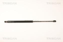 TRISCAN Amortizor portbagaj TRISCAN 8710 29289 (8710 29289) - fixbox