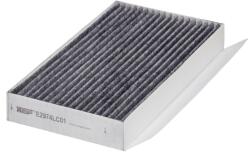 Hengst Filter Filtru aer habitaclu / polen HENGST FILTER E2974LC01 (E2974LC01)