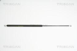 TRISCAN Amortizor portbagaj TRISCAN 8710 40230 (8710 40230) - fixbox