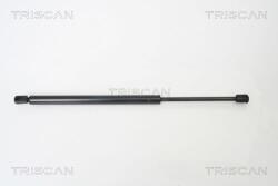 TRISCAN Amortizor portbagaj TRISCAN 8710 29254 (8710 29254) - fixbox