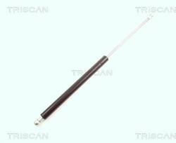 TRISCAN Amortizor portbagaj TRISCAN 8710 16216 (8710 16216) - fixbox