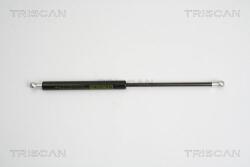 TRISCAN Amortizor portbagaj TRISCAN 8710 16248 (8710 16248) - fixbox