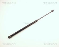 TRISCAN Amortizor portbagaj TRISCAN 8710 24202 (8710 24202) - fixbox