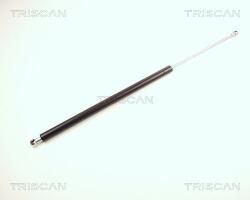 TRISCAN Amortizor portbagaj TRISCAN 8710 24209 (8710 24209) - fixbox