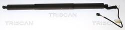 TRISCAN Amortizor portbagaj TRISCAN 8710 29306 (8710 29306) - fixbox