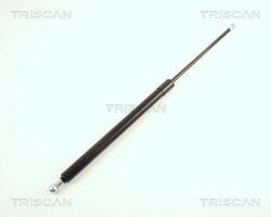 TRISCAN Amortizor portbagaj TRISCAN 8710 29262 (8710 29262) - fixbox