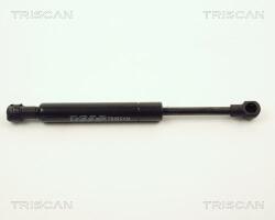 TRISCAN Amortizor portbagaj TRISCAN 8710 11219 (8710 11219) - fixbox