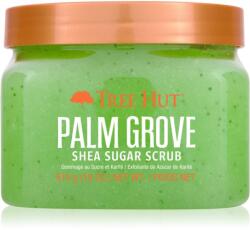 Tree Hut Shea Sugar Scrub Palm Grove cukros test peeling 510 g