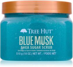 Tree Hut Shea Sugar Scrub Blue Musk cukros test peeling 510 g