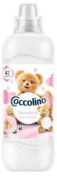 Coccolino Creations öblítőkoncentrátum 966 ml Sensitive Romantic Rose