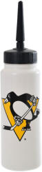 Inglasco Inc Sticlă de hochei Pittsburgh Penguins