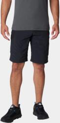 Columbia Silver Ridge Cargo Short D