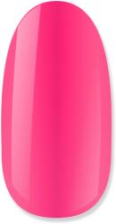 NiiZA Gel Polish 4ml - 221 Üveg hatású